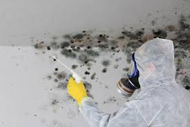 Best Basement Mold Removal  in Montague, CA